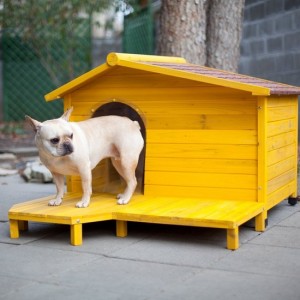 doggycabinhouse