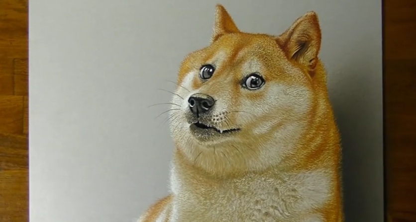 Chó Shiba nổi tiếng vì hay cười