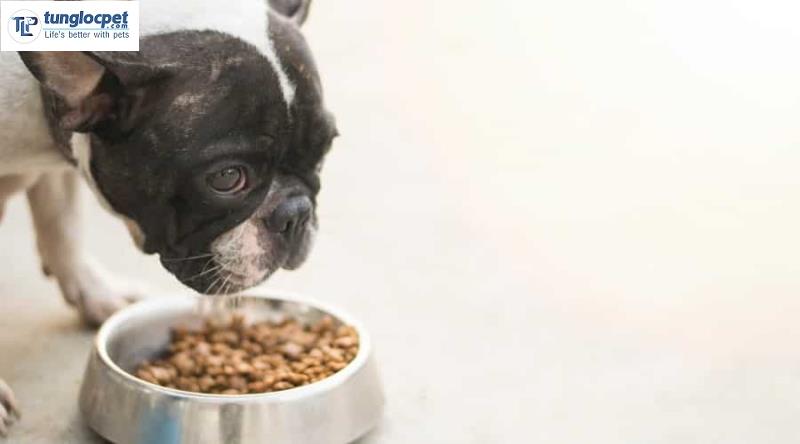 Chó Bull Pháp khá thích ăn các loại hạt song chủ nuôi cần chọn mua từ các thương hiệu uy tín và kiểm tra hạn sử dụng trước khi cho chúng ăn