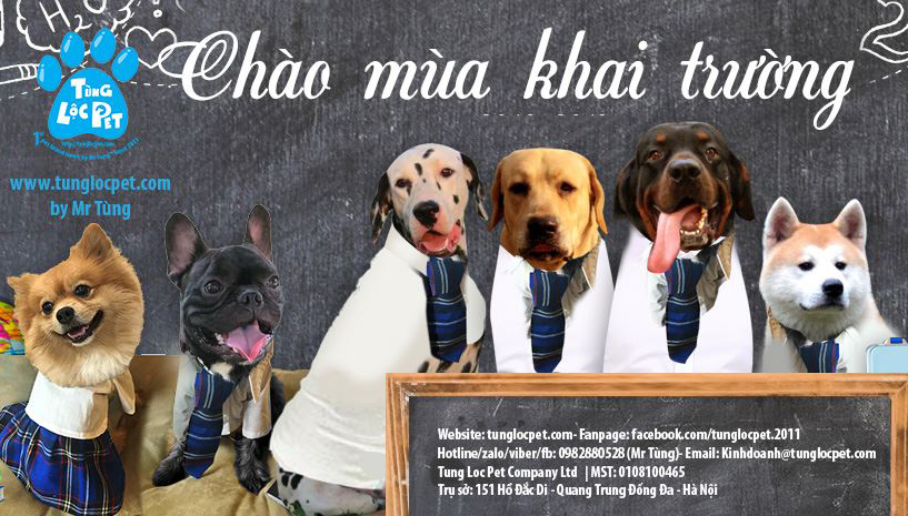 tung-loc-pet-banner